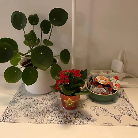 Apartment Logies-m Comfort Inc Bikes