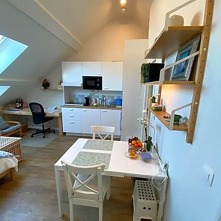 Apartamento Logies-m Comfort Inc Bikes *